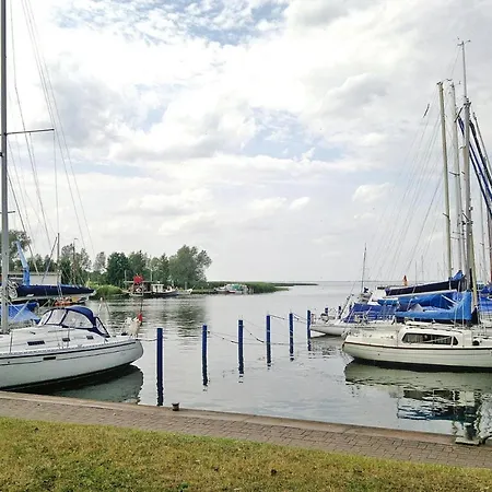 Wiesenschein, Mönkebude